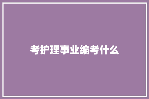 考护理事业编考什么