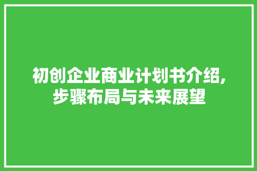 初创企业商业计划书介绍,步骤布局与未来展望