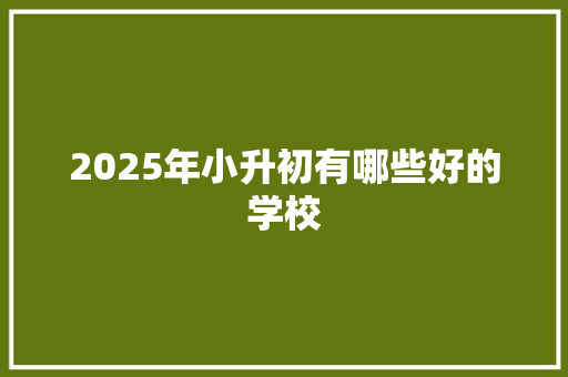 2025年小升初有哪些好的学校