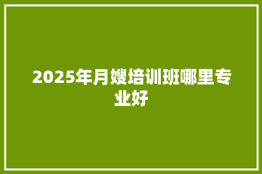 2025年月嫂培训班哪里专业好
