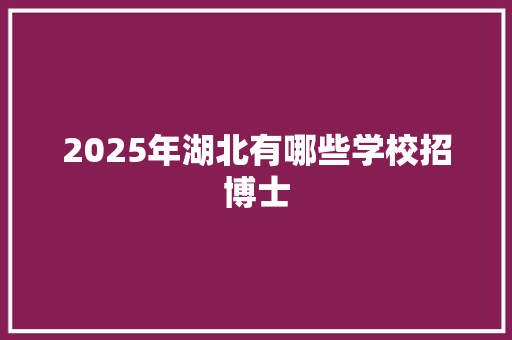 2025年湖北有哪些学校招博士