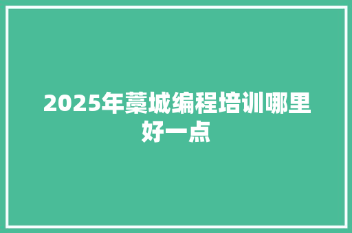 2025年藁城编程培训哪里好一点