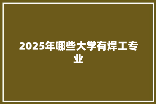 2025年哪些大学有焊工专业