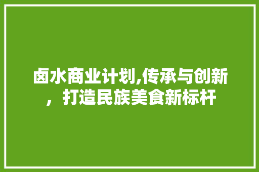 卤水商业计划,传承与创新，打造民族美食新标杆