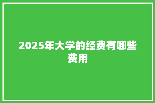 2025年大学的经费有哪些费用