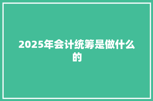 2025年会计统筹是做什么的