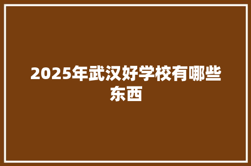 2025年武汉好学校有哪些东西