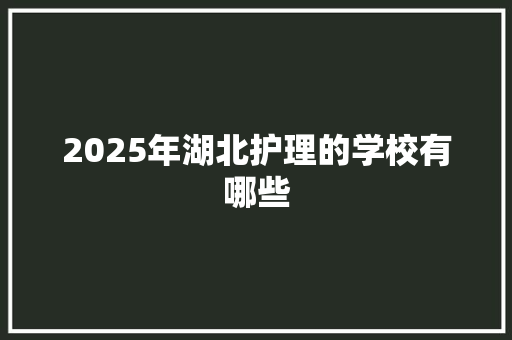 2025年湖北护理的学校有哪些