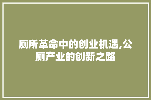 厕所革命中的创业机遇,公厕产业的创新之路