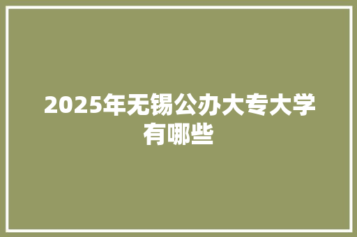 2025年无锡公办大专大学有哪些