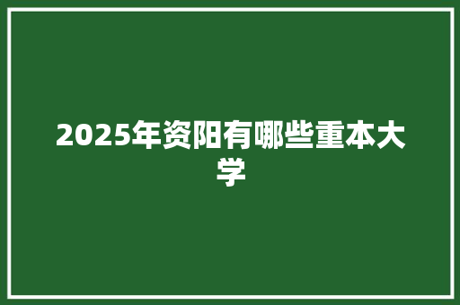 2025年资阳有哪些重本大学 工作计划