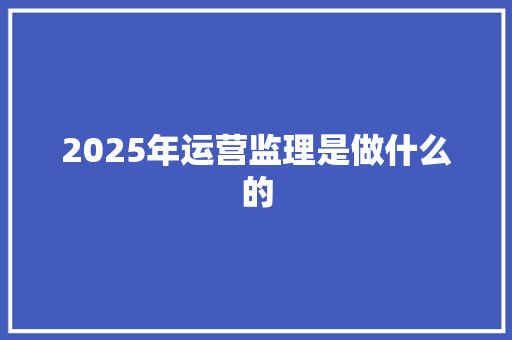 2025年运营监理是做什么的