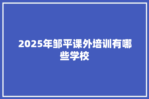 2025年邹平课外培训有哪些学校 工作计划
