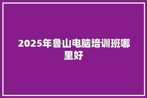 2025年鲁山电脑培训班哪里好