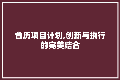 台历项目计划,创新与执行的完美结合