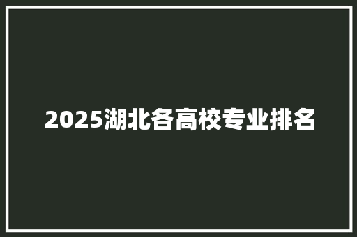 2025湖北各高校专业排名