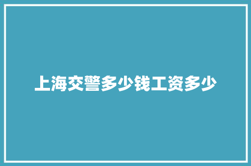 上海交警多少钱工资多少