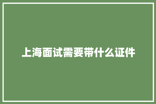 上海面试需要带什么证件
