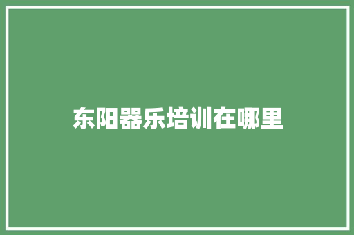 东阳器乐培训在哪里