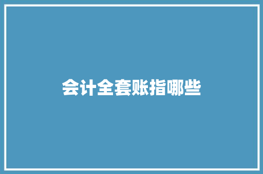 会计全套账指哪些