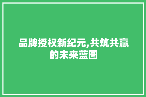 品牌授权新纪元,共筑共赢的未来蓝图