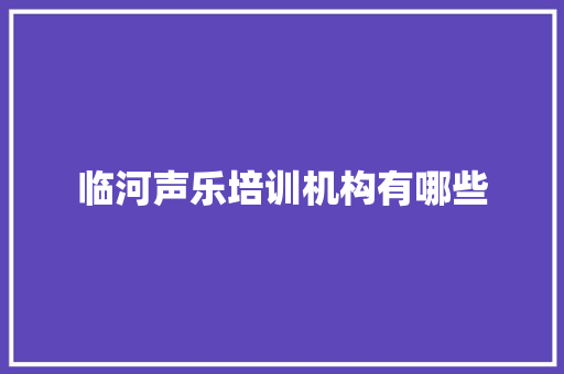 临河声乐培训机构有哪些 工作总结