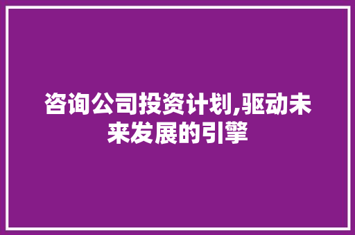 咨询公司投资计划,驱动未来发展的引擎
