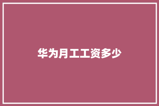 华为月工工资多少
