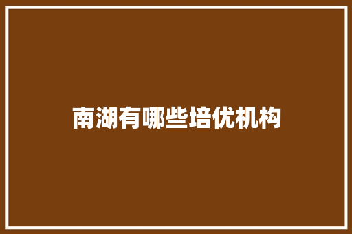 南湖有哪些培优机构