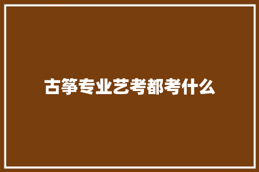 古筝专业艺考都考什么