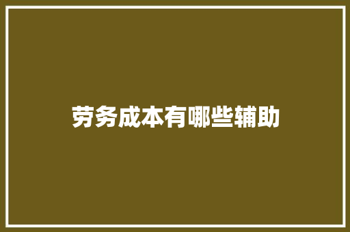 劳务成本有哪些辅助
